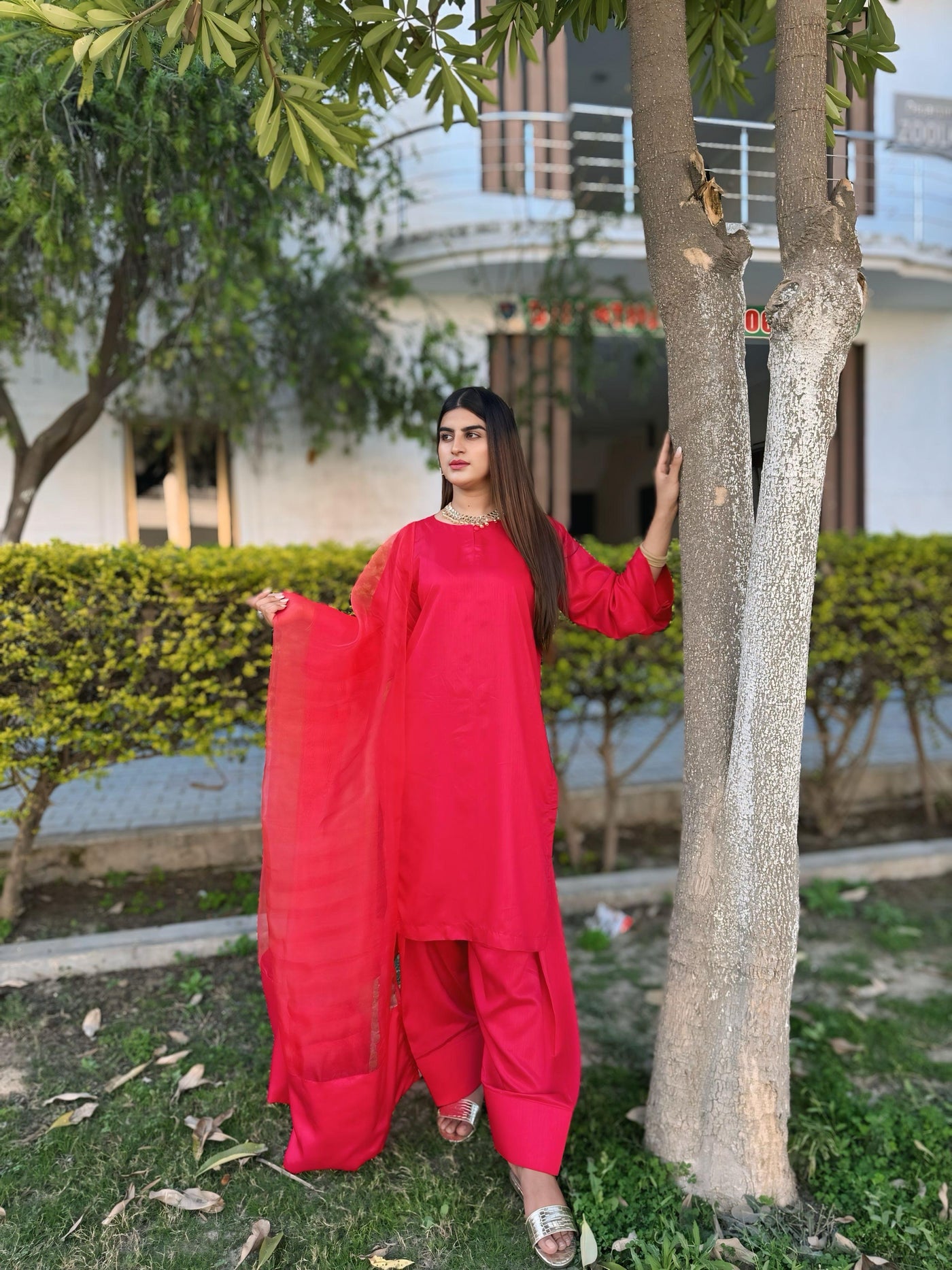 Sharbati
